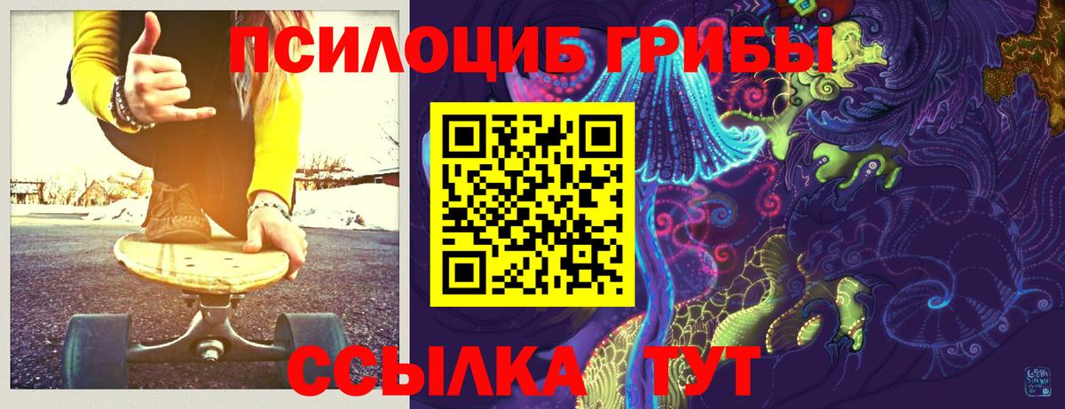 Псилоцибиновые грибы мухоморы Избербаш